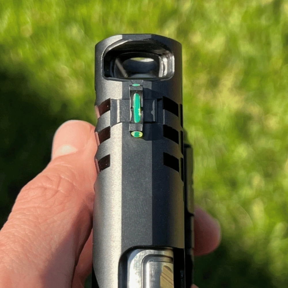 SGz Plague and Pandemic Comp